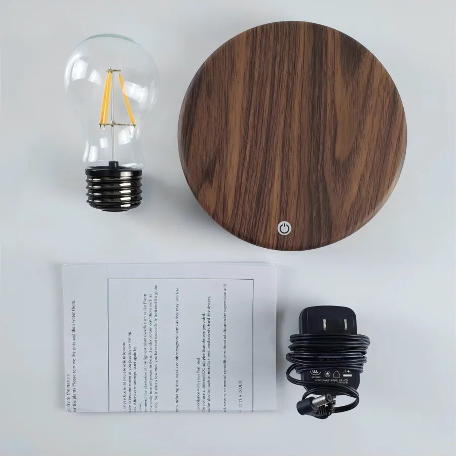 Magnetic levitation lamp